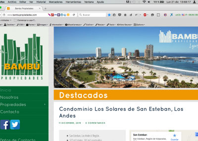 Sitio Web «Bambú Propiedades»