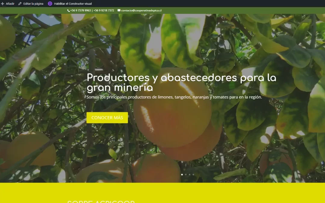 Sitio web – cooperativadepica.cl