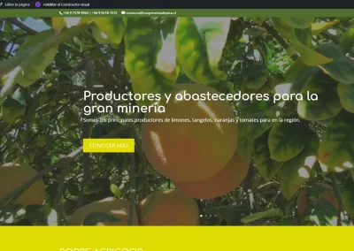 Sitio web – cooperativadepica.cl